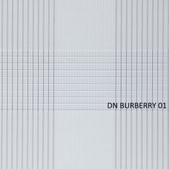 Ролети тканинні (рулонні штори) День-Ніч Mini ECO Burberry WS-Ж-Д-Н-Mini-ECO-Burberry фото